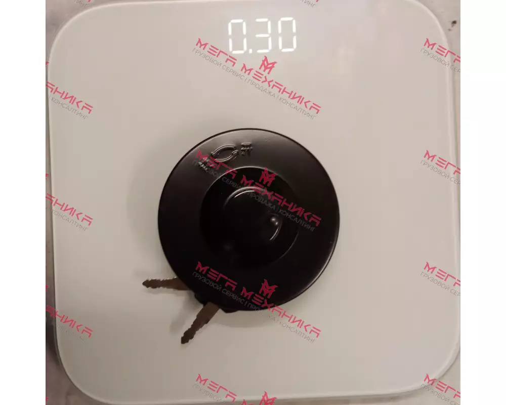 Крышка топливного бака A7 WG9925550003