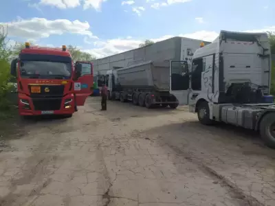 Компьютерная диагностика и ремонт электрики