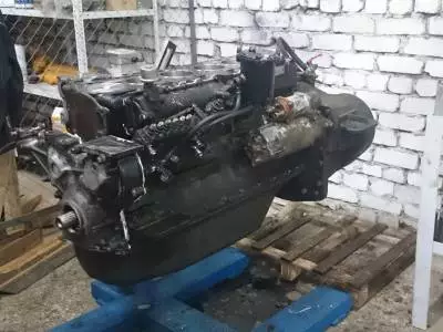 Двигатель Д260 Амкодор